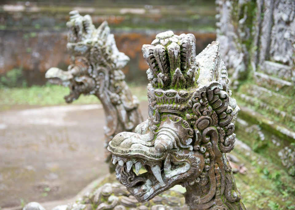Leap_Hop_Blog_Bali_Nagas