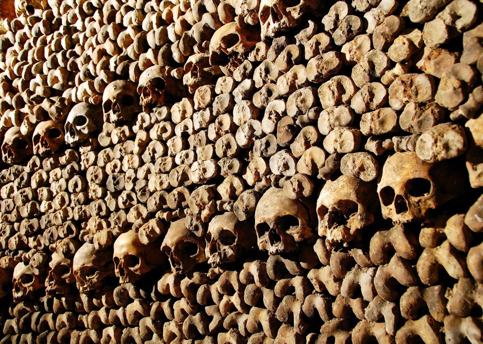 Kid Travel Book Paris Catacombes