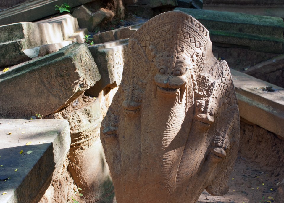 Leap-Hop-Blog-Cambodia-Naga