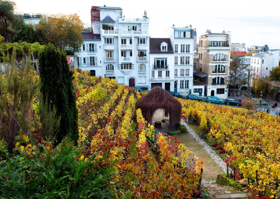 Leap Hop Paris Montmartre Kids Harvest Festival
