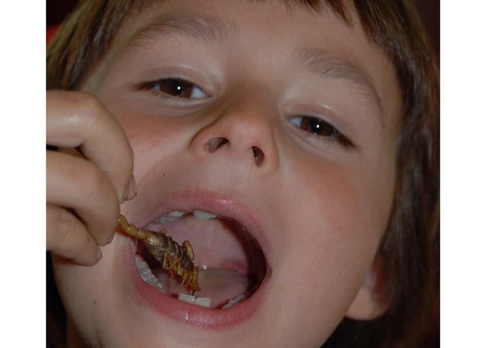 leap-hop-cambodia-scorpio